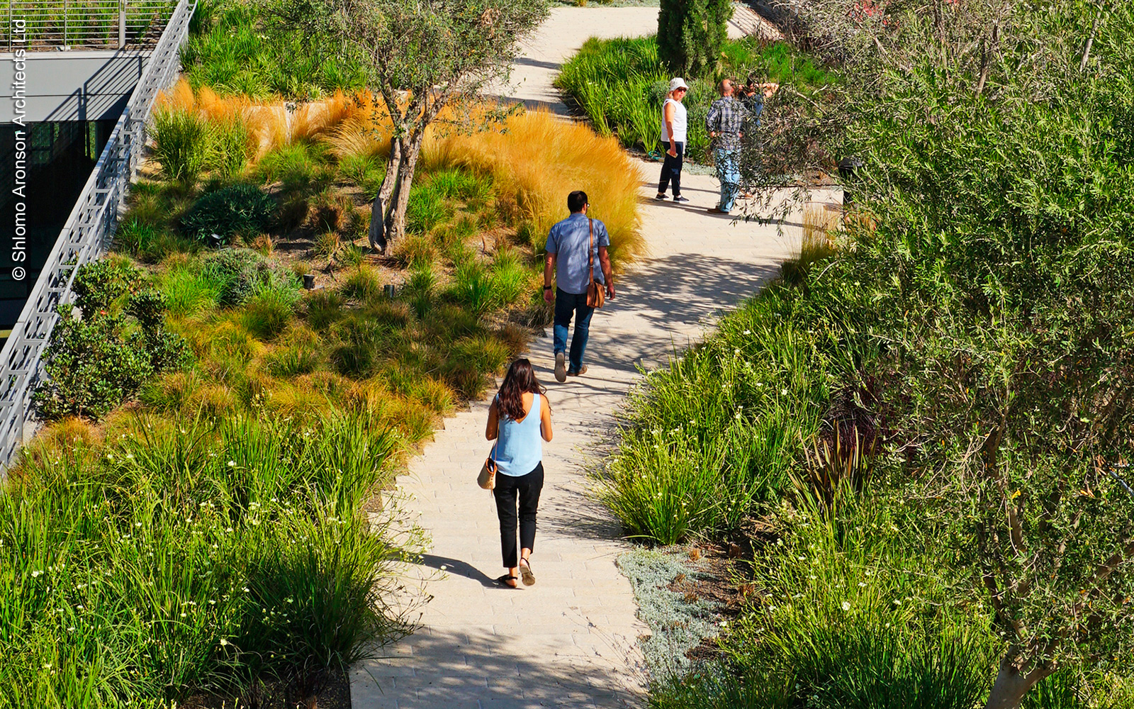 The main path is winding through lush greenery. People strolling across a green roof with lush greenery